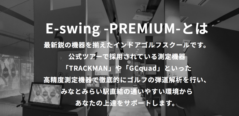 E-swing-Premium-img